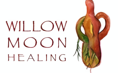 Willow Moon Healing