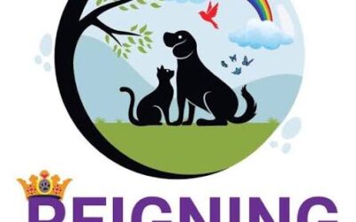 Reigning Cats & Dogs