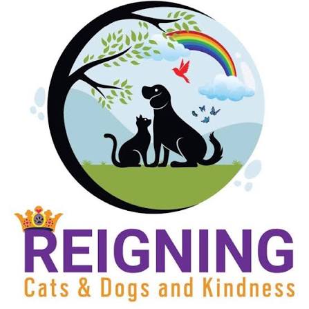 Reigning Cats & Dogs logo
