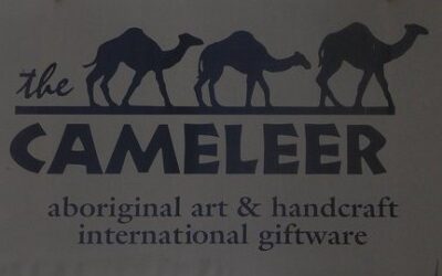 The Cameleer